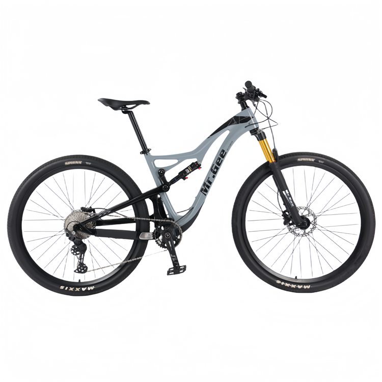 Carbon Fiber Bike 29 Inch Chin - Cycling Gear Price review and price