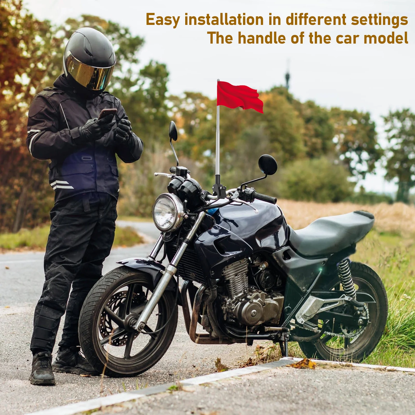 2Pcs Motorcycle Flagpole Unive - Cycling Gear Shelf review and price